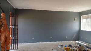 Interior finishing and painting