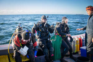 Researchers from Dalhousie University +