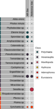 Oceanite Canada Species Science