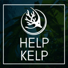 Help Kelp Mission for Oceanic Restoration