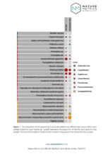 Fist Report IntelliReefs Oceanite Canada Kelp
