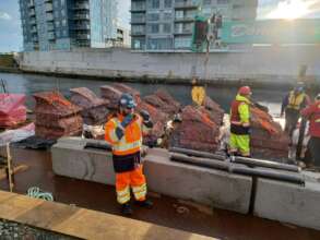 Massive Kelp Revitalization Deployment