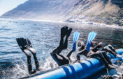 Restoring Kelp Forests with Nanotechnology
