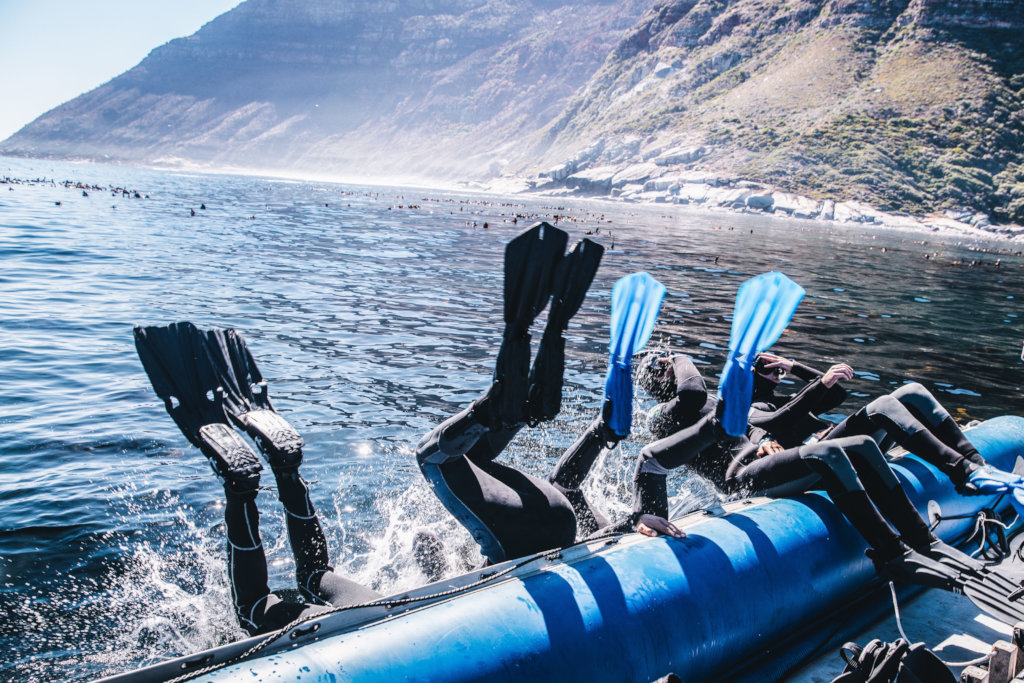 Restoring Kelp Forests with Nanotechnology