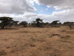 Affected Area