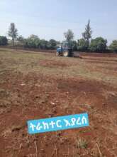site cleaning  before harvesting