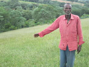 MHO   afforestation  restoration of degraded areas