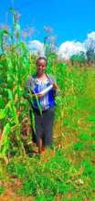 Beneficiary     MHO  Rehabilitation backyard farm