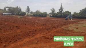 MHO cultivation land