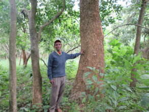 Area closure for Protecting an  indigenous trees