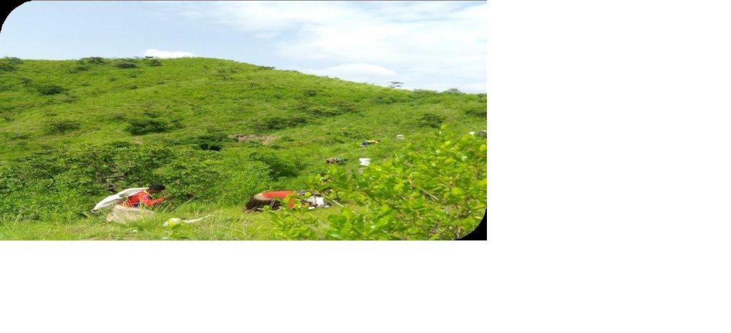 Cultivate Plants- Cultivate Peace in Ethiopia