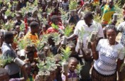 Cultivate Plants- Cultivate Peace in Ethiopia
