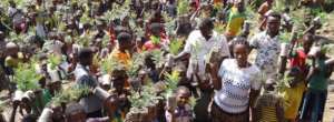 Cultivate Plants- Cultivate Peace in Ethiopia