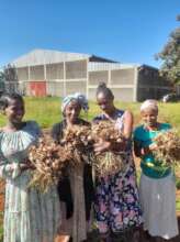 beneficiaries