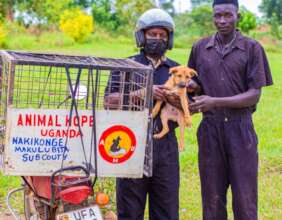 rescue team,mission at work