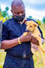Innocent with  one of rescued puppies
