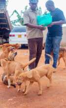 donations of food to low income animal owners