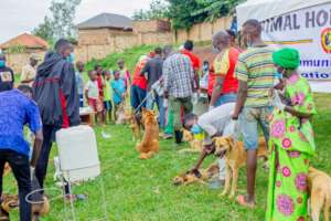 vaccination against rabies