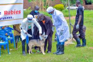community rabies Vaccination day