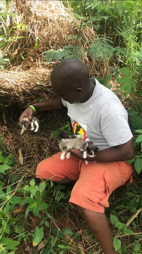 Rescue , Rehabilitation and Sensitization project