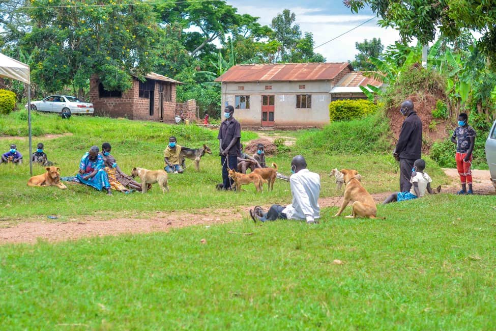 Rescue , Rehabilitation and Sensitization project