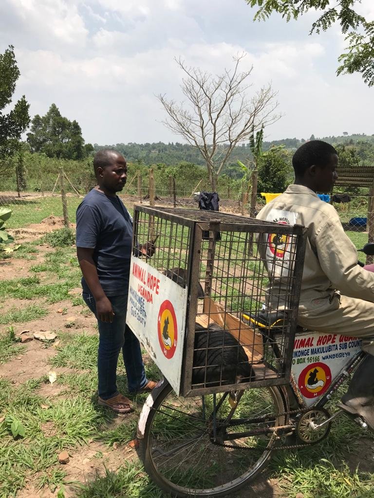 Rescue , Rehabilitation and Sensitization project
