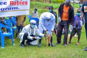 Community rabies vaccination