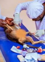 sterilization