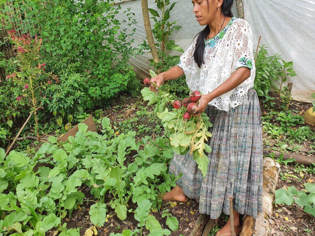 Feed & Heal 100 malnourished children in Guatemala