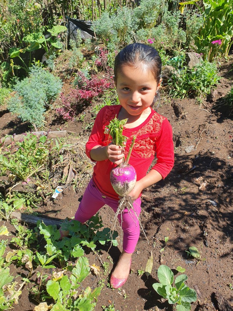 Feed & Heal 100 malnourished children in Guatemala