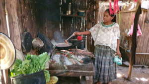 Learning to cook vegetables from the garden