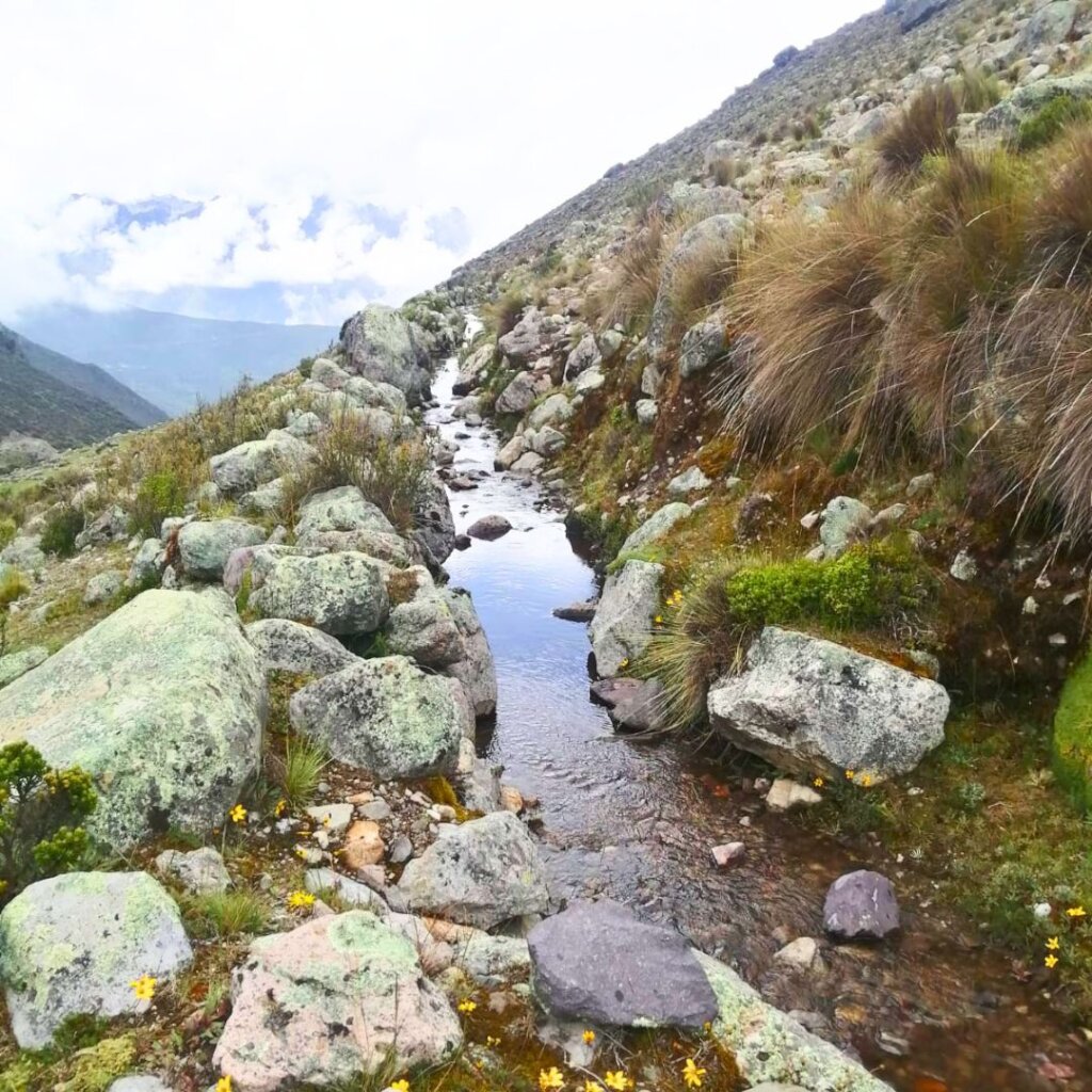 Anta's canal