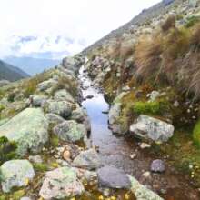 Anta's canal