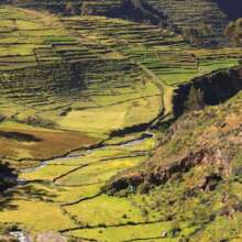 Terraces (andenes)