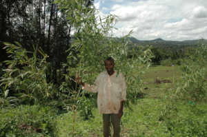A male smallholder farmer standing by his bamboo