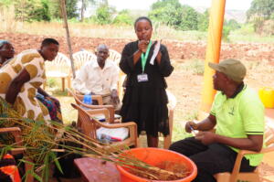 Explaining bamboo values during the training
