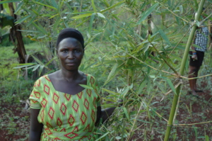 One of the farmers standing by her growing bamboo