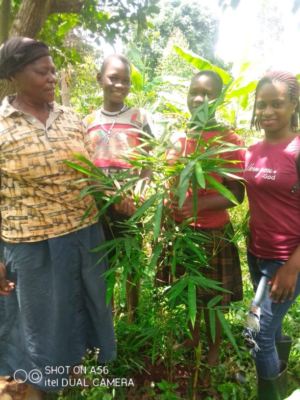 Daisy, with her grandchildren next to her bamboo