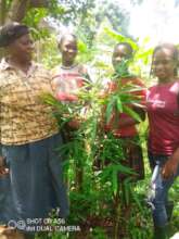 Daisy, with her grandchildren next to her bamboo