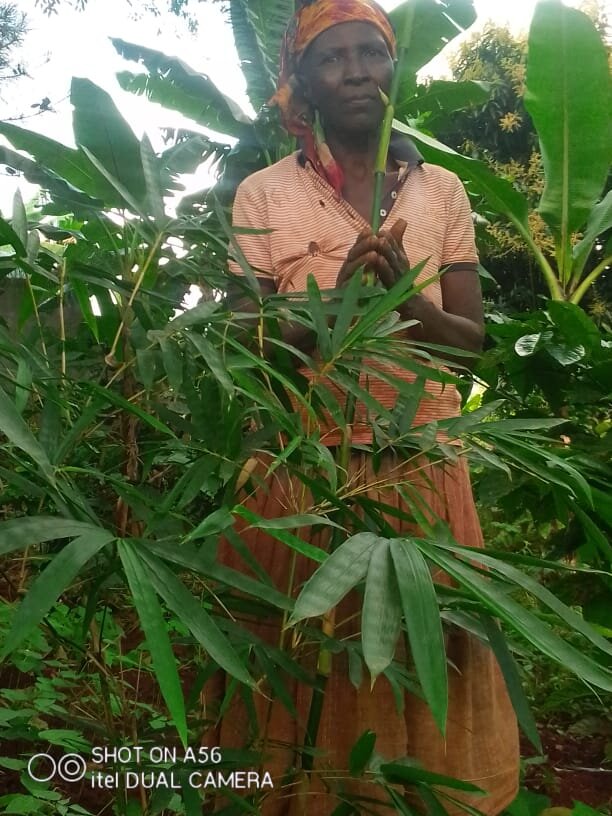 Mary, another farmer holding her healthy bamboo