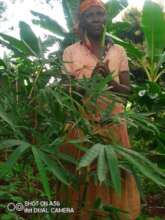 Mary, another farmer holding her healthy bamboo
