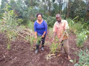 Our ED inspecting a Bamboo grower in Hoima