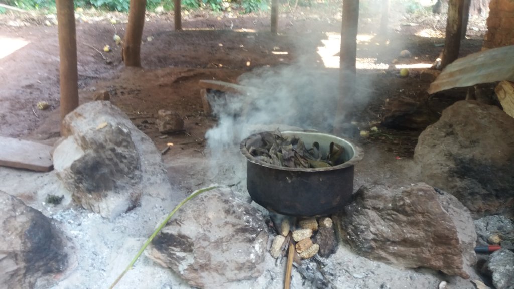 Climate change adoption for 100 farmers in Uganda