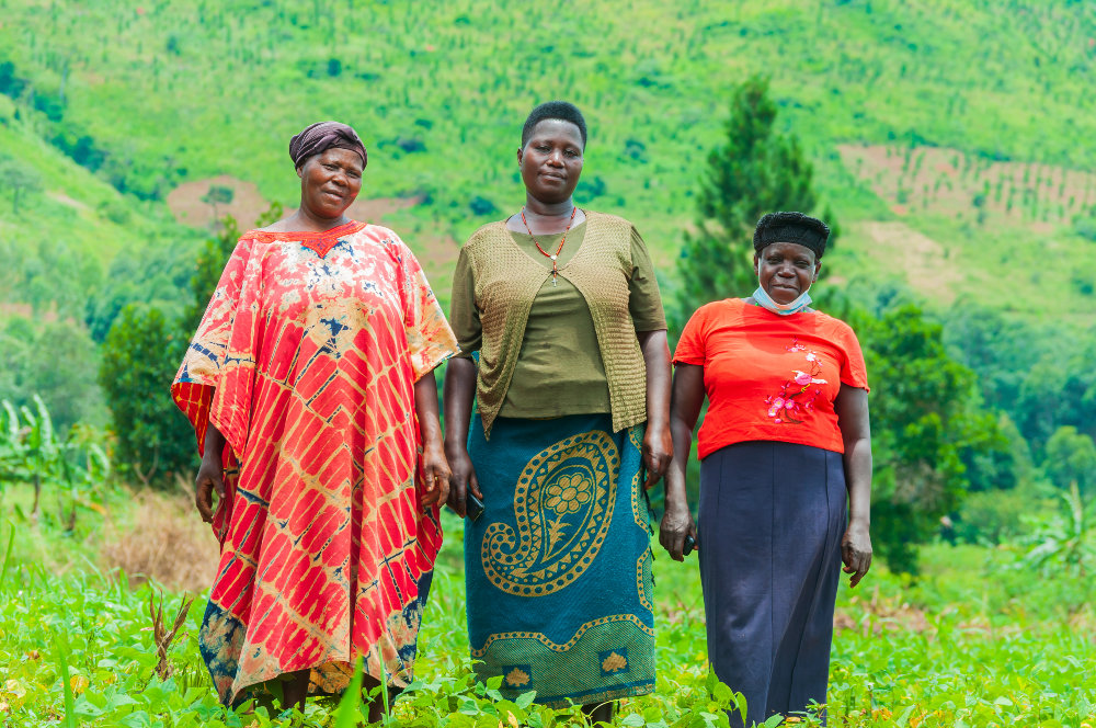 Climate change adoption for 100 farmers in Uganda