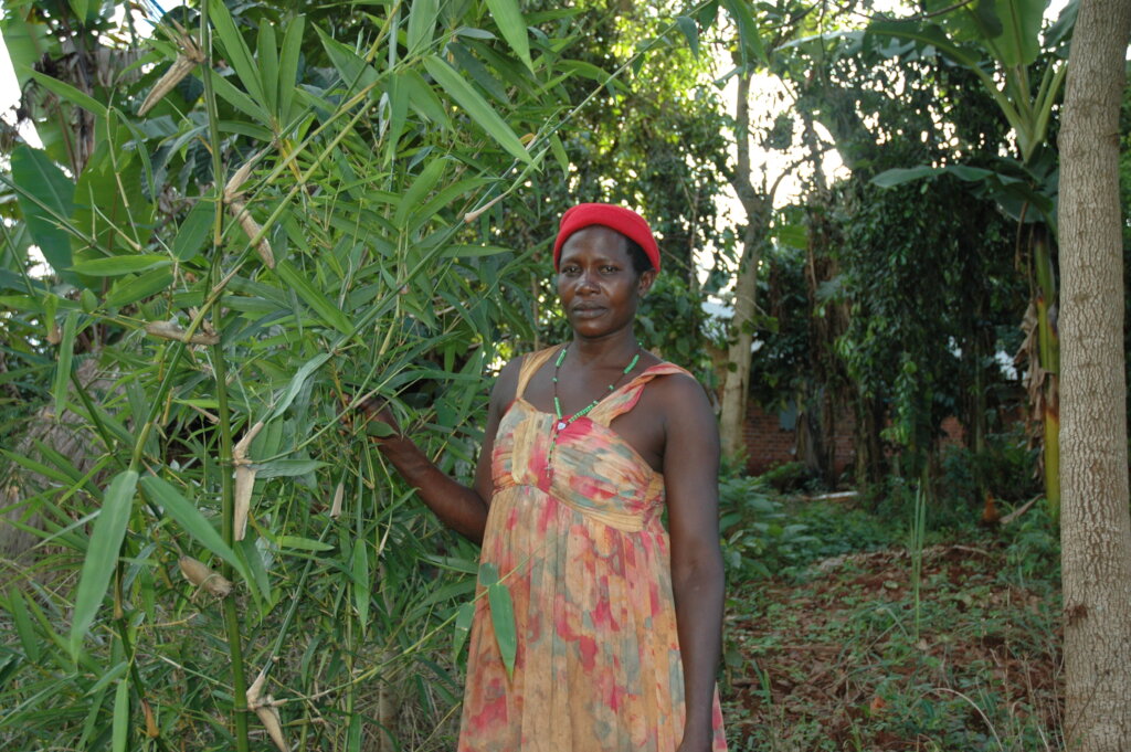 Climate change adoption for 100 farmers in Uganda