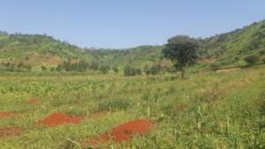 Bare hills after deforestation