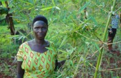 Climate change adoption for 100 farmers in Uganda