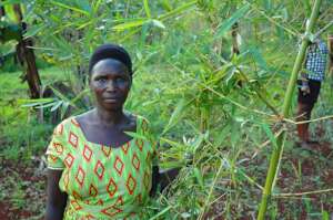 Climate change adoption for 100 farmers in Uganda