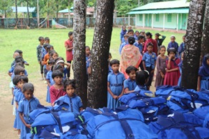New Dress Distribution in 2025