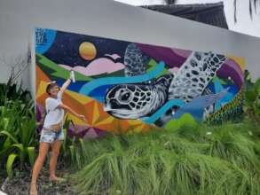 Turtle inspired art to educate Hotel Lumi guests.